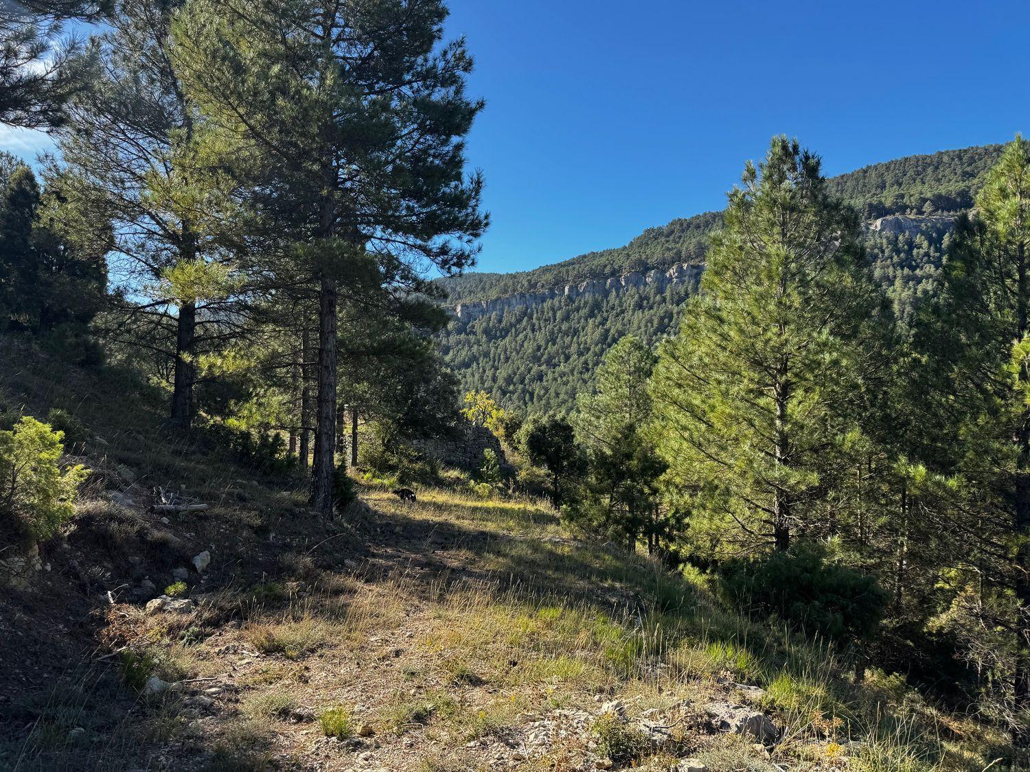 Solar en Venta en Valderrobres