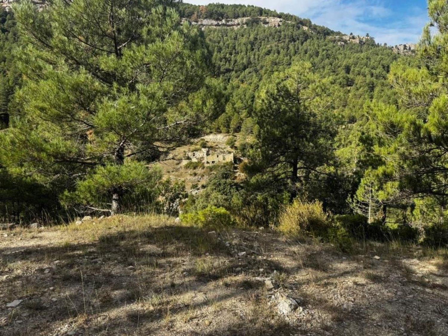 Solar en Venta en Valderrobres