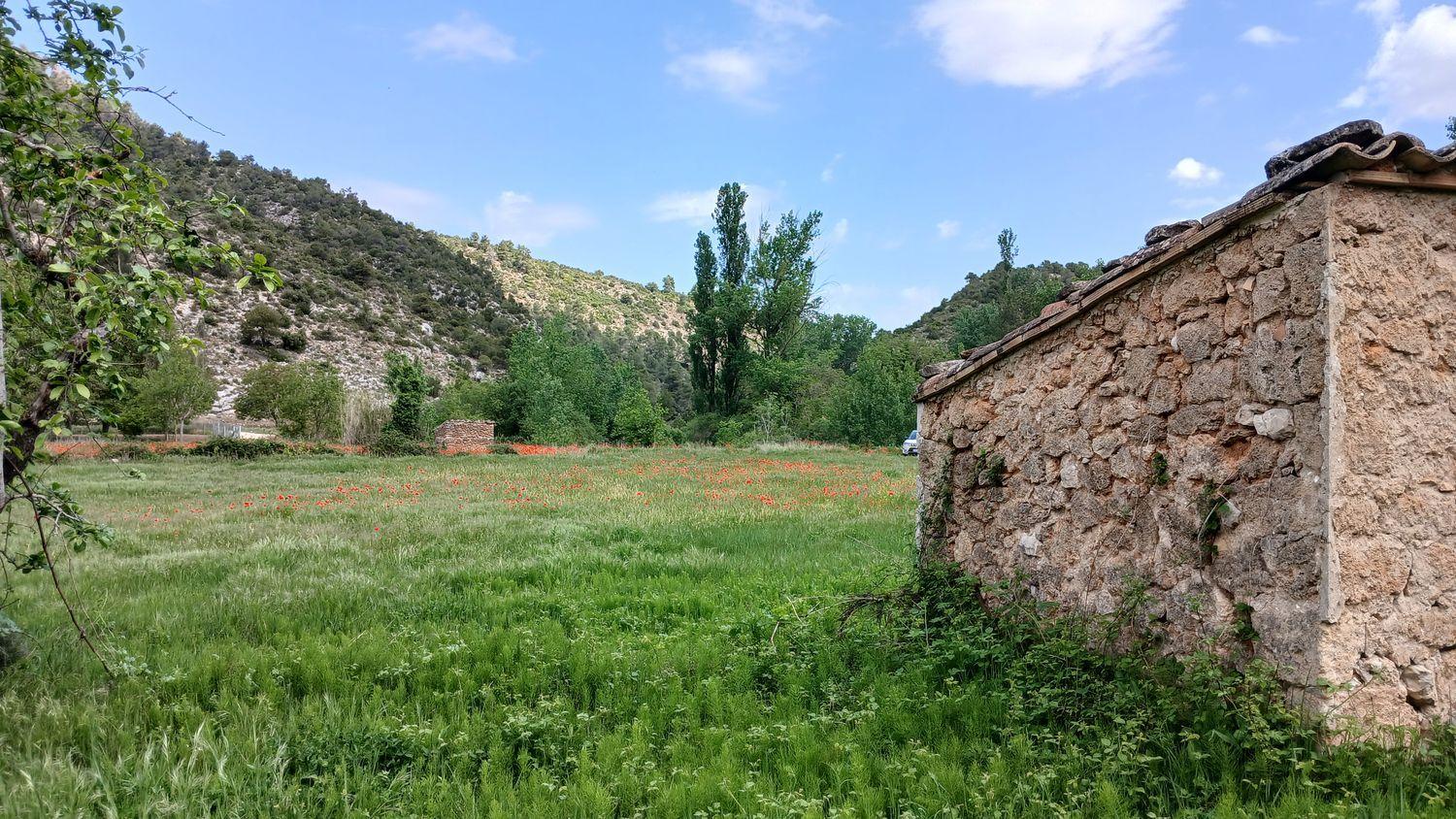Building Site for Sale in Beceite