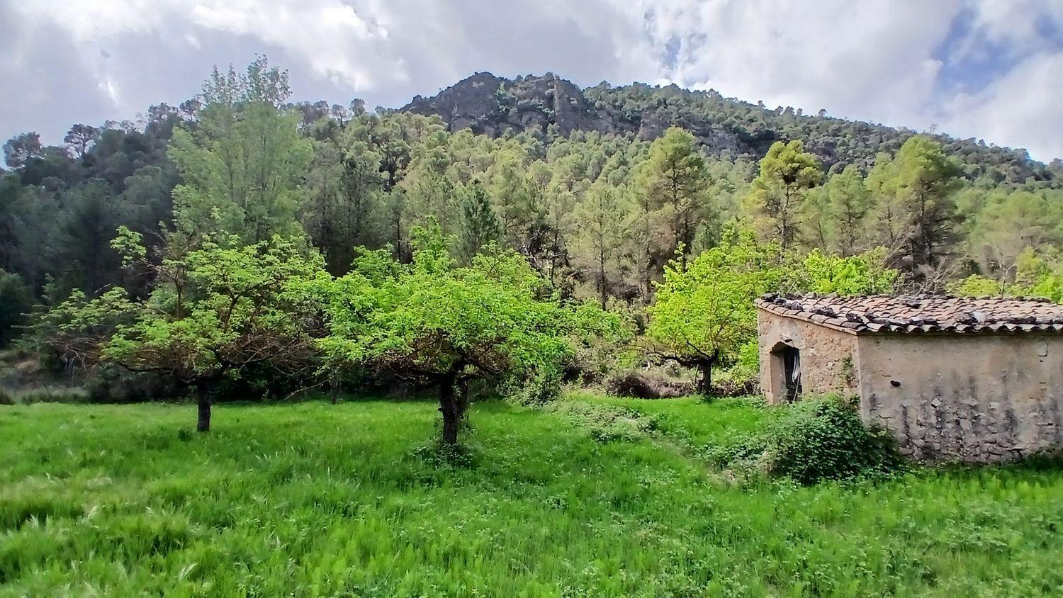 Building Site for Sale in Beceite