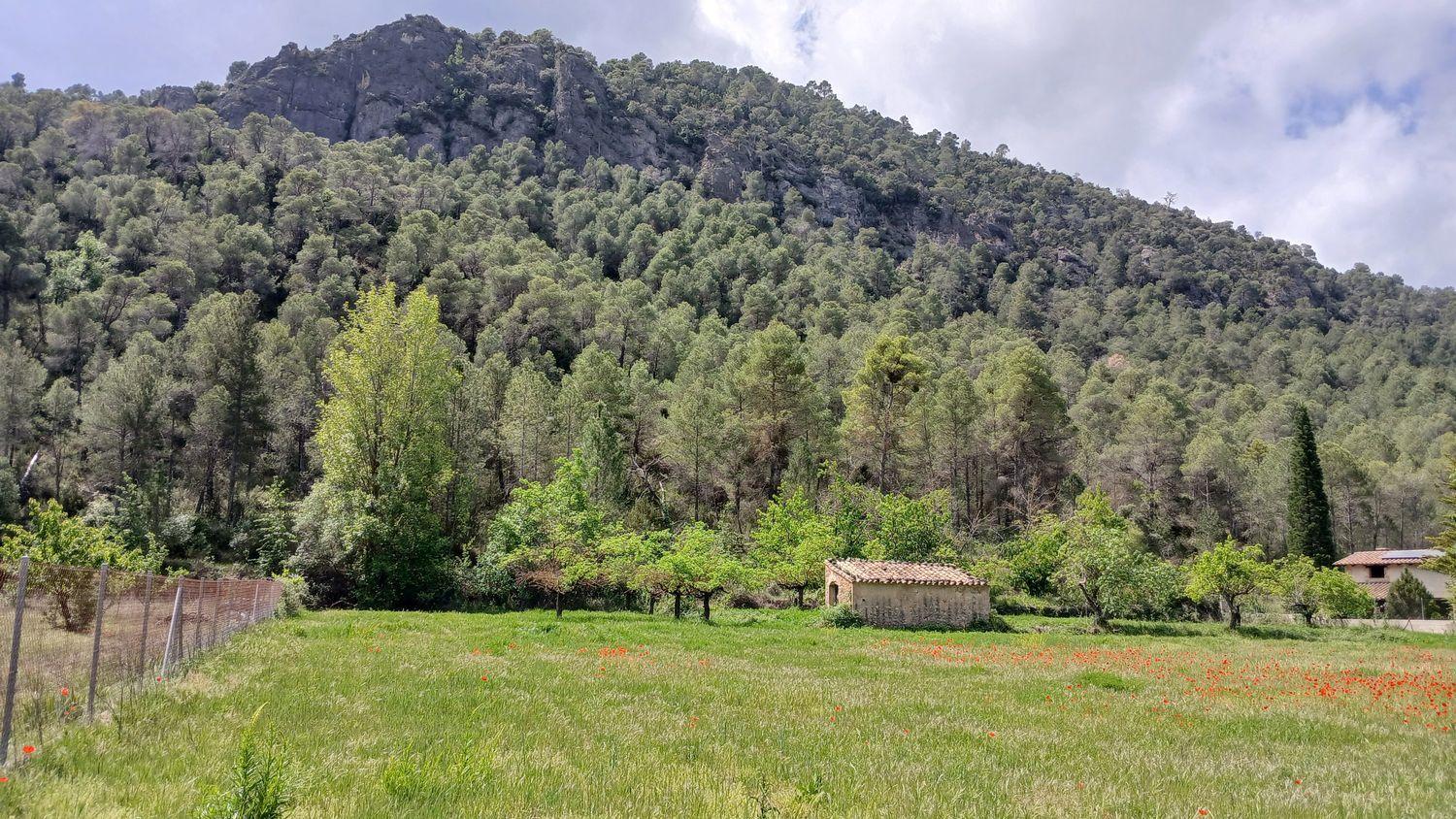 Building Site for Sale in Beceite