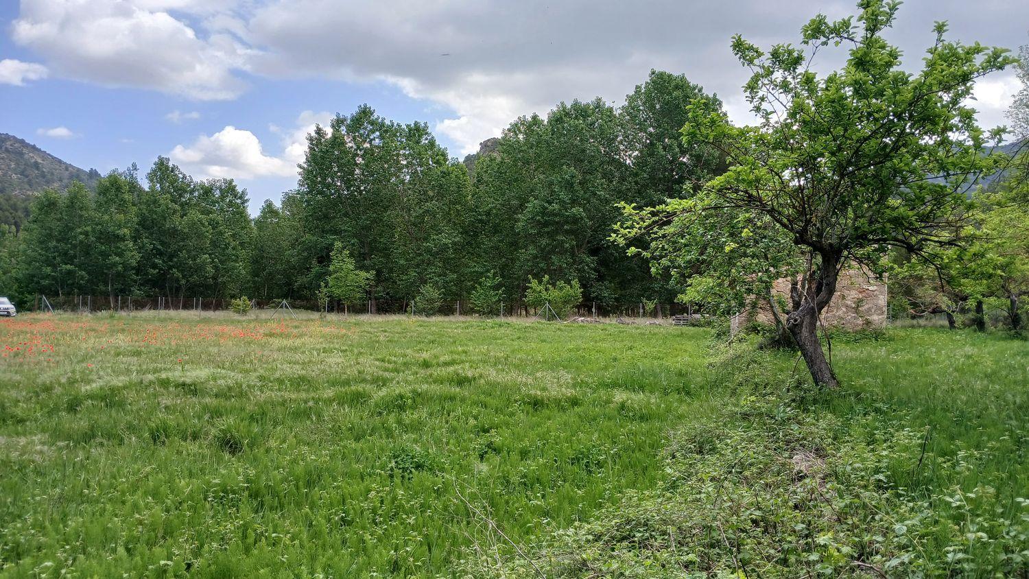 Building Site for Sale in Beceite