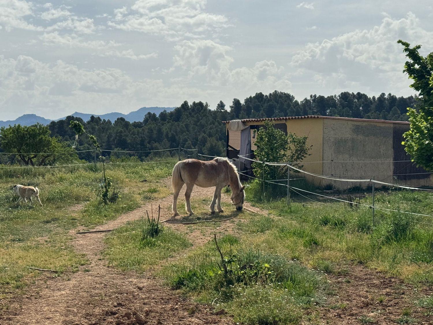 Building Site for Sale in Cretas
