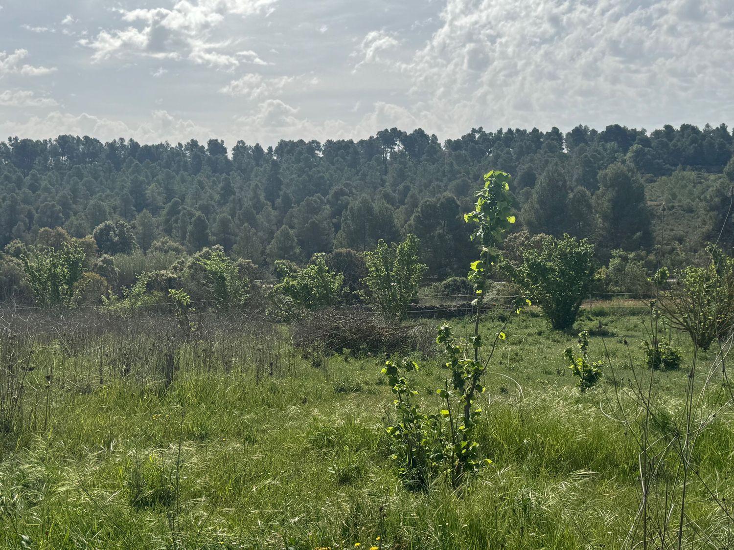 Building Site for Sale in Cretas