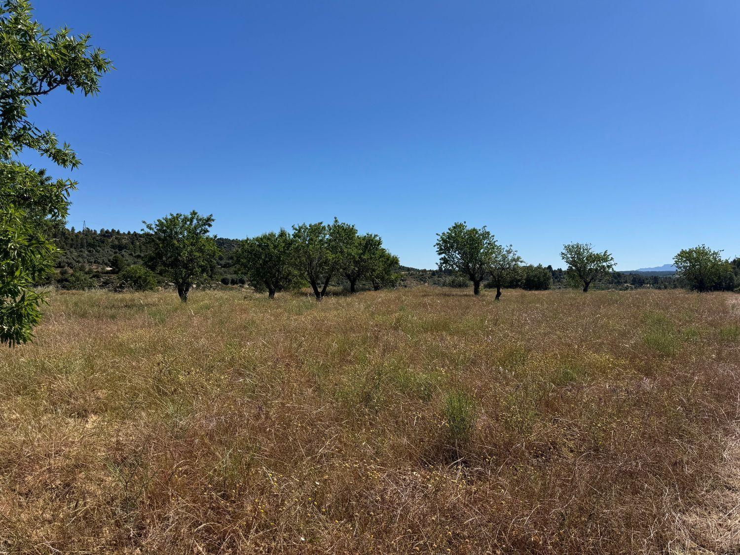 Building Site for Sale in La Fresneda