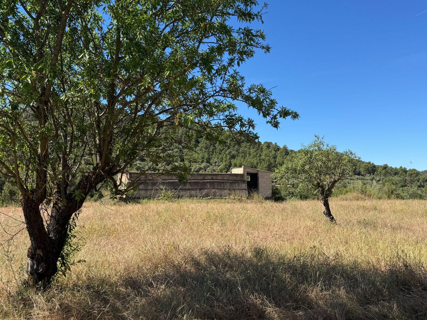 Building Site for Sale in La Fresneda