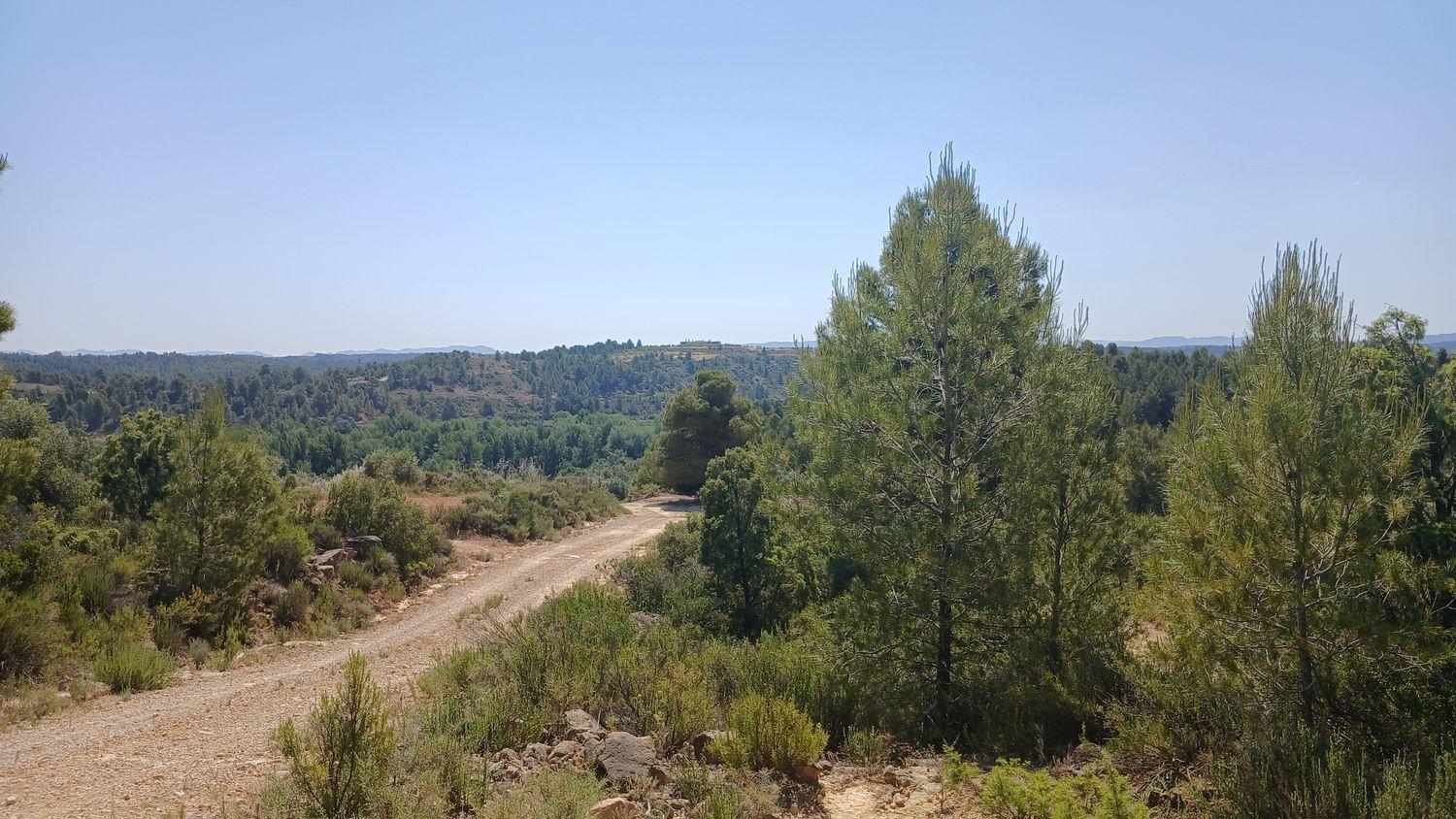 Building Site for Sale in La Fresneda