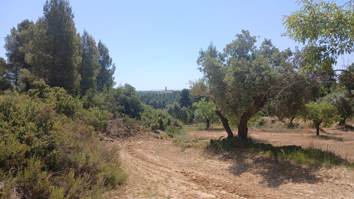 Building Site for Sale in La Fresneda