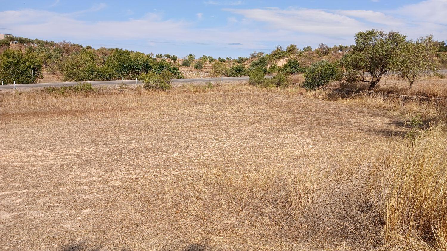 Building Site for Sale in Valderrobres