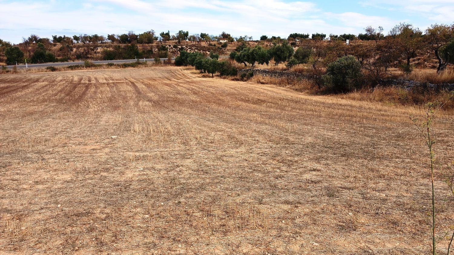 Building Site for Sale in Valderrobres