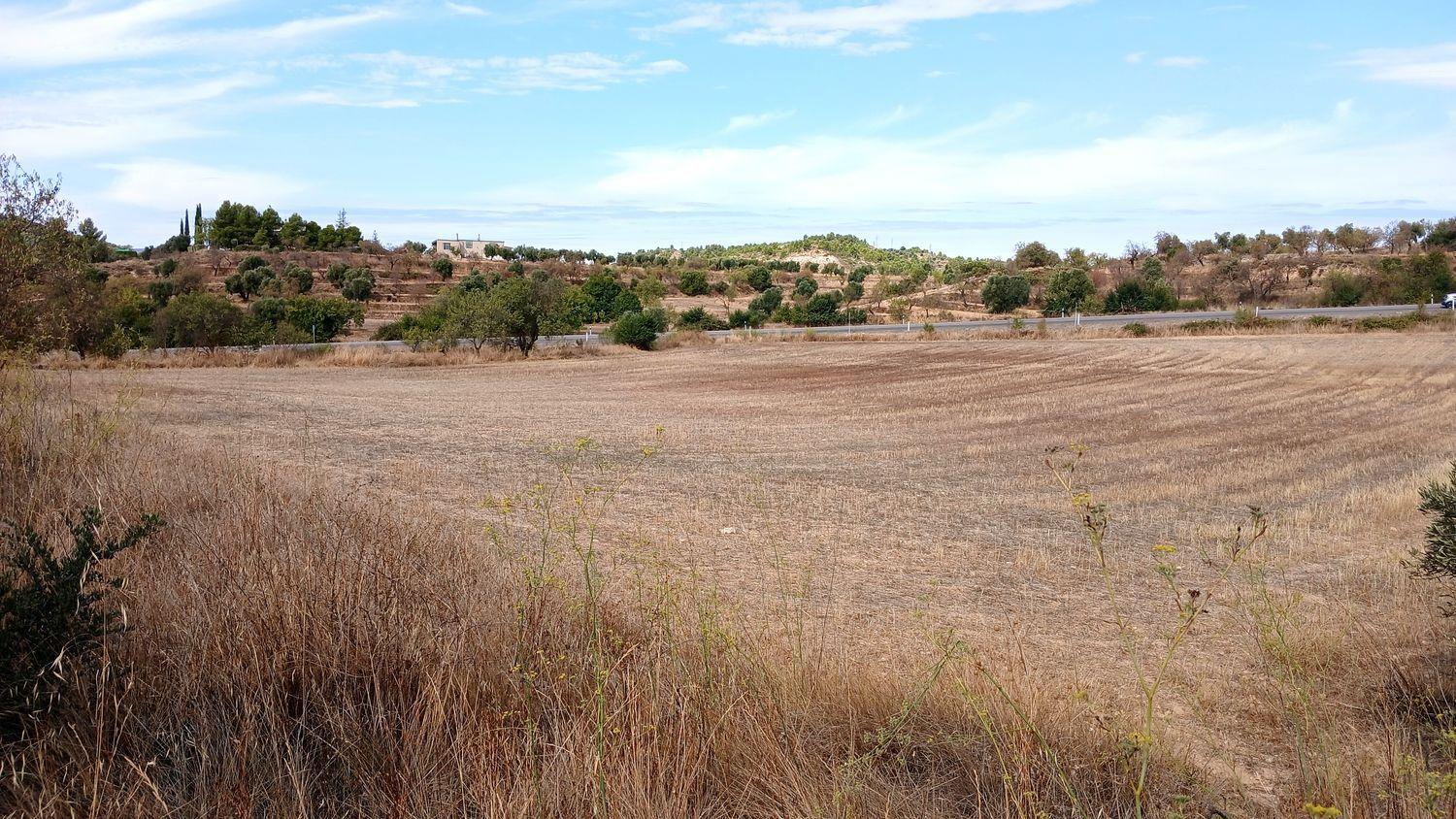 Building Site for Sale in Valderrobres