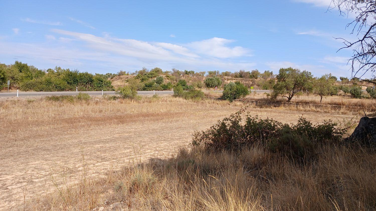 Building Site for Sale in Valderrobres