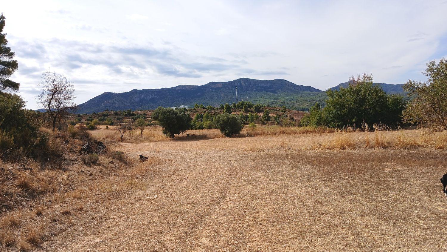 Building Site for Sale in Valderrobres