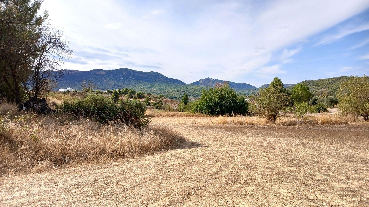 Building Site for Sale in Valderrobres