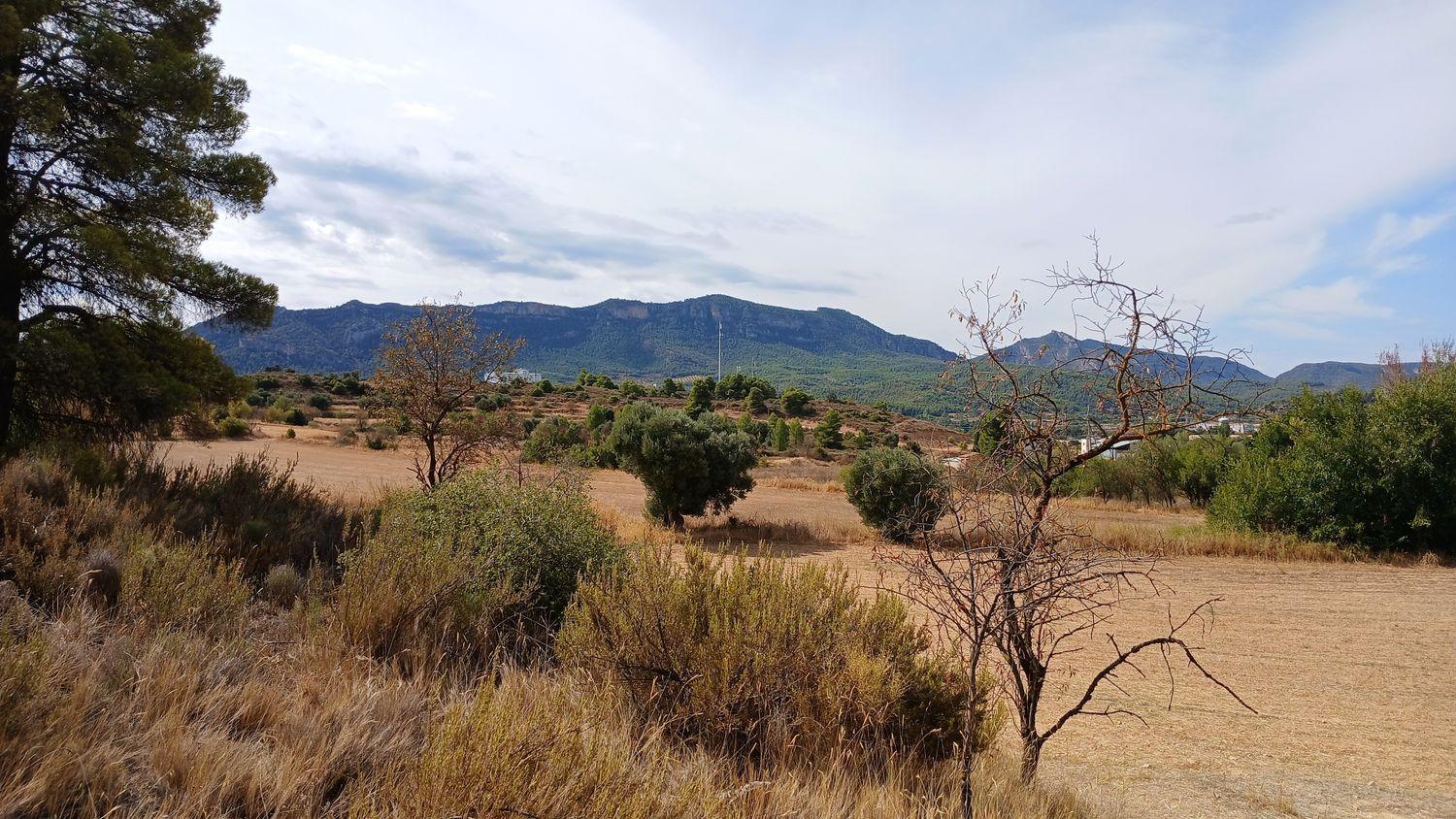 Building Site for Sale in Valderrobres