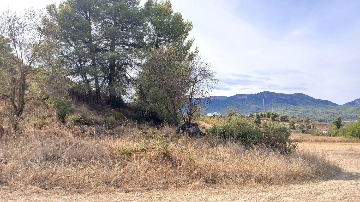 Building Site for Sale in Valderrobres