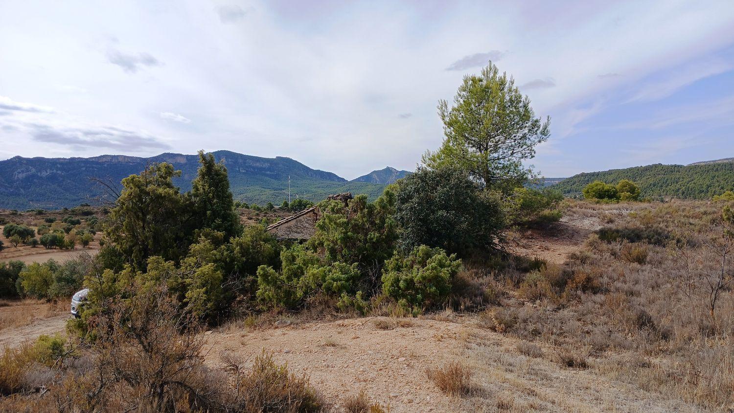 Building Site for Sale in Valderrobres