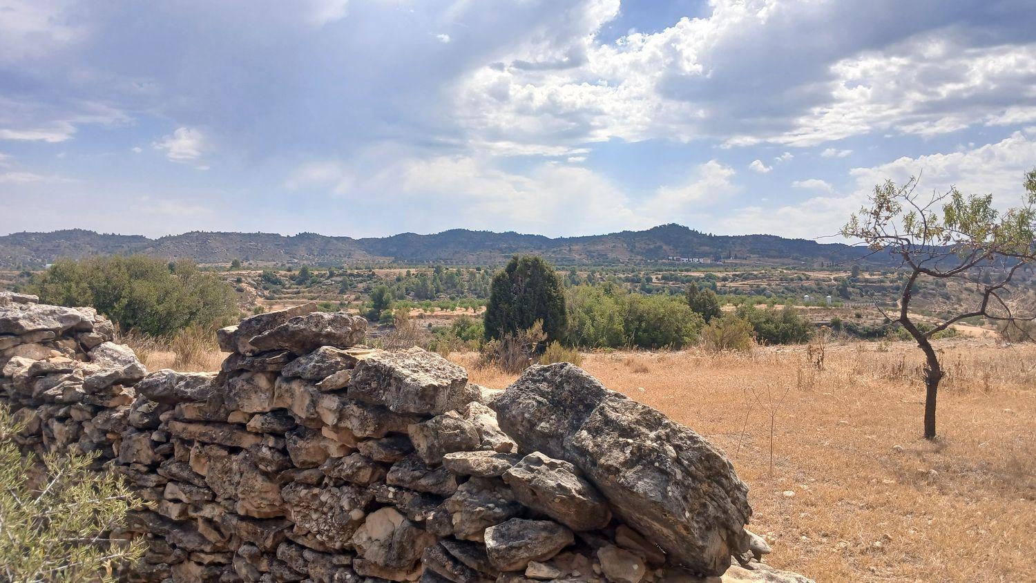 Building Site for Sale in Torrevelilla