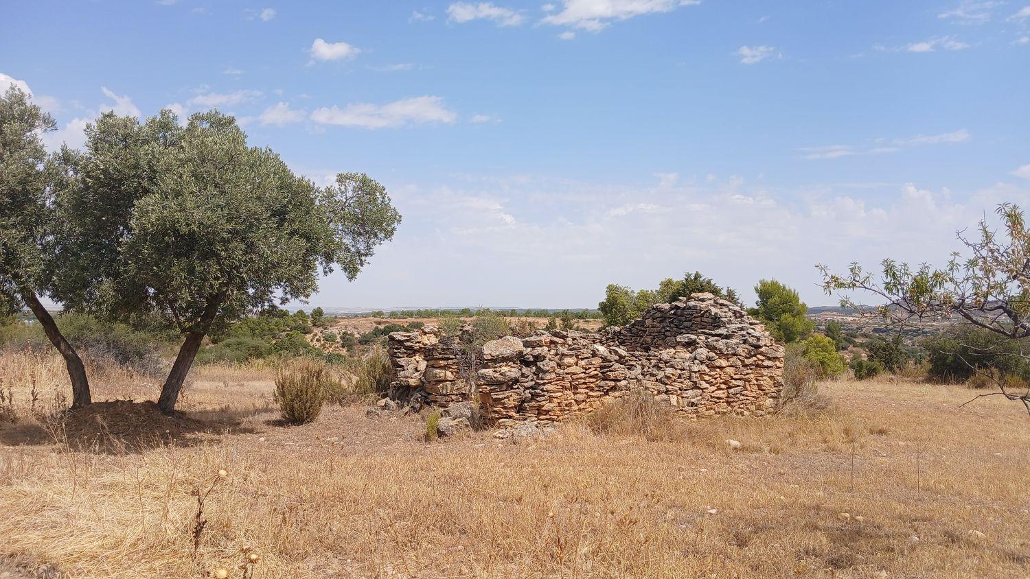 Building Site for Sale in Torrevelilla