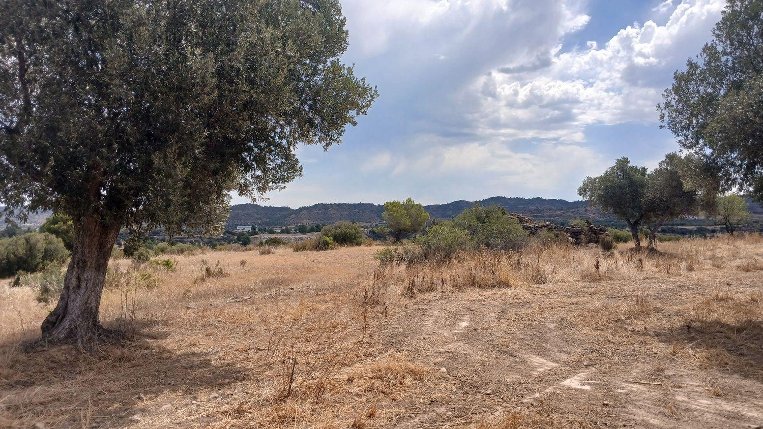 Building Site for Sale in Torrevelilla