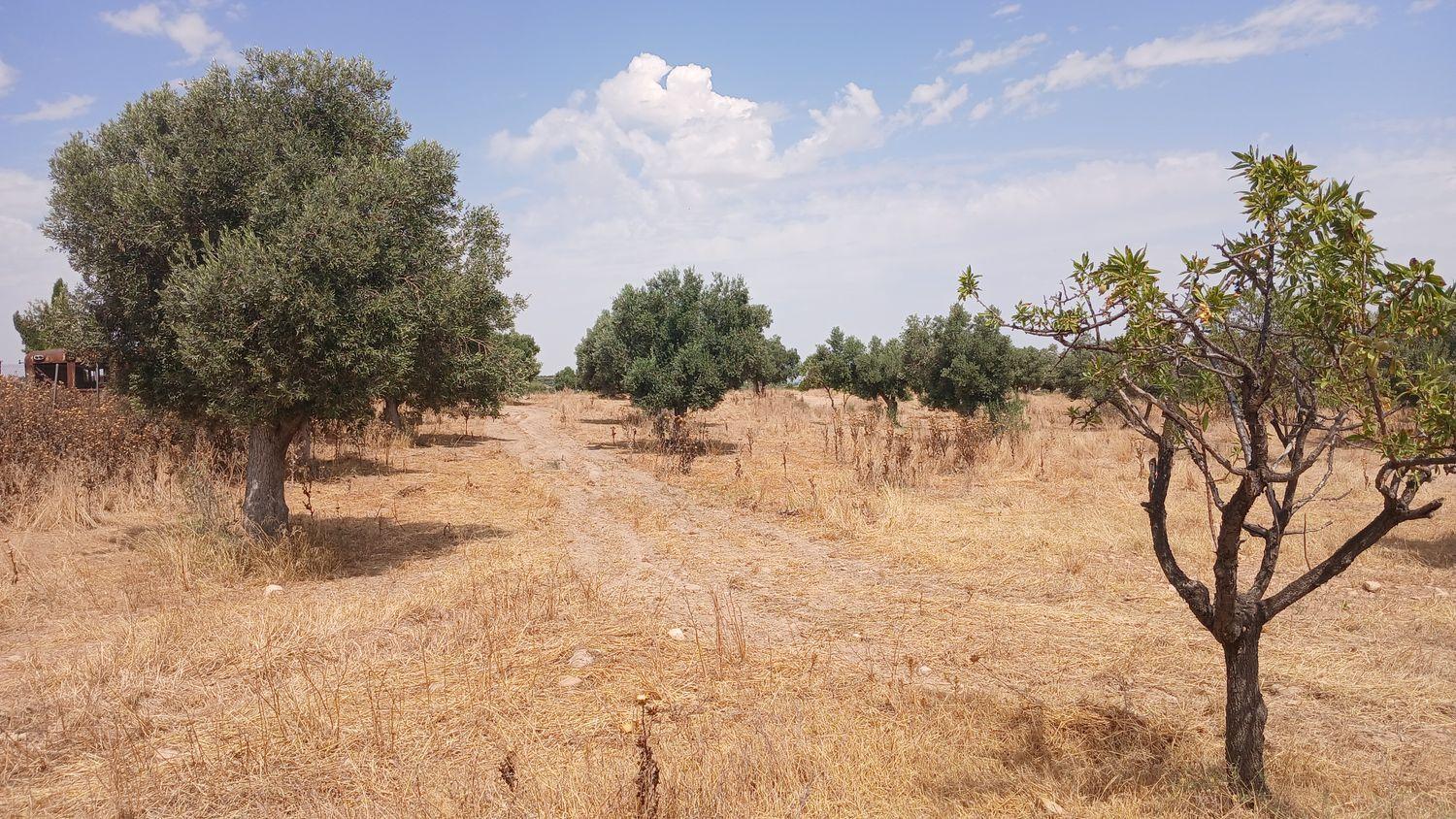 Building Site for Sale in Torrevelilla