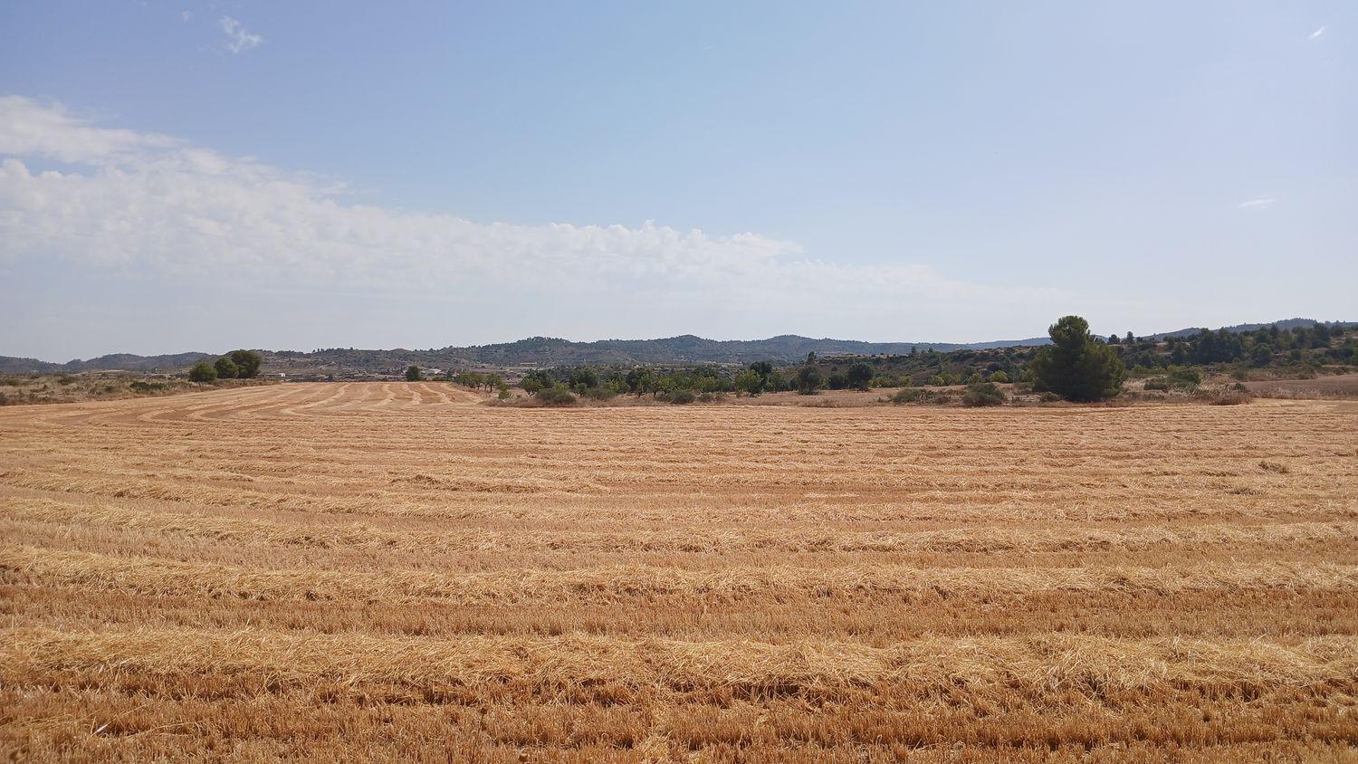 Building Site for Sale in Castelserás