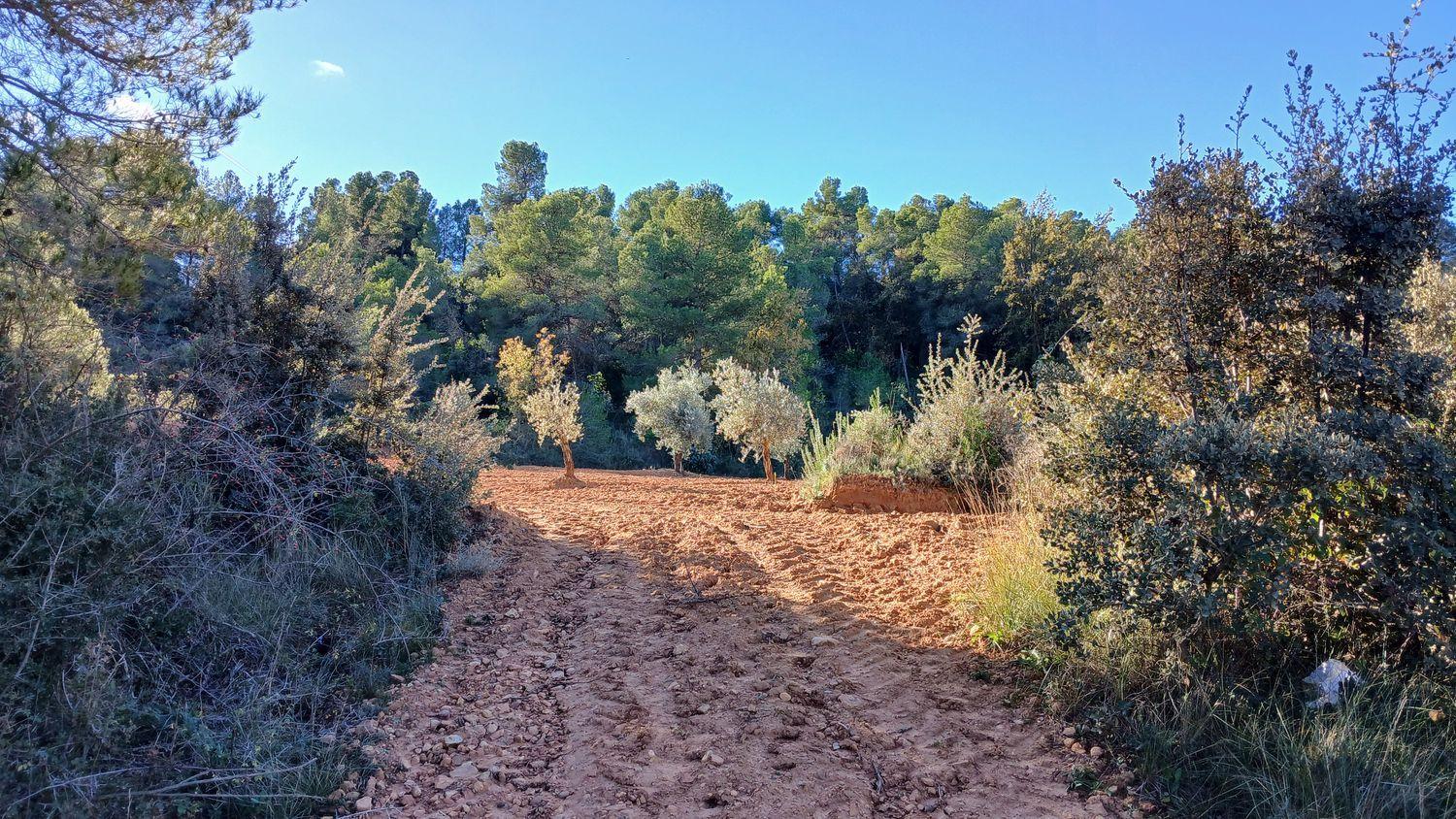 Building Site for Sale in Cretas