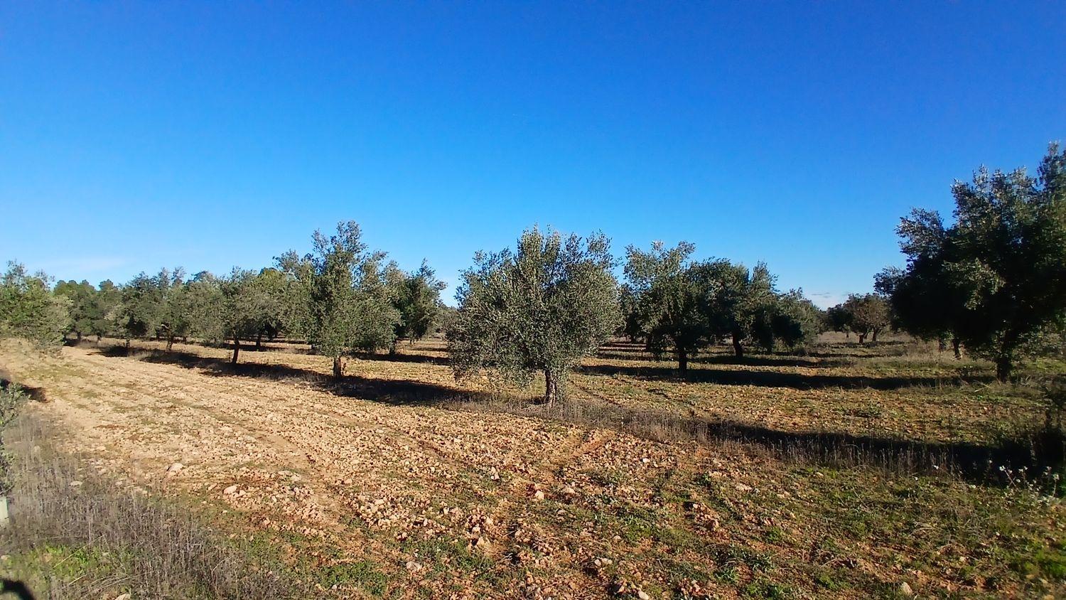 Solar en Venta en Cretas