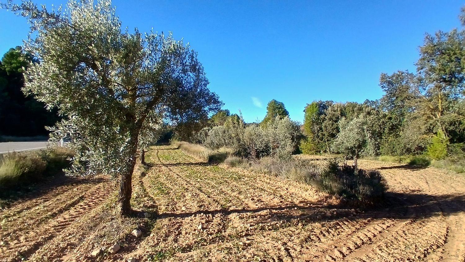 Building Site for Sale in Cretas