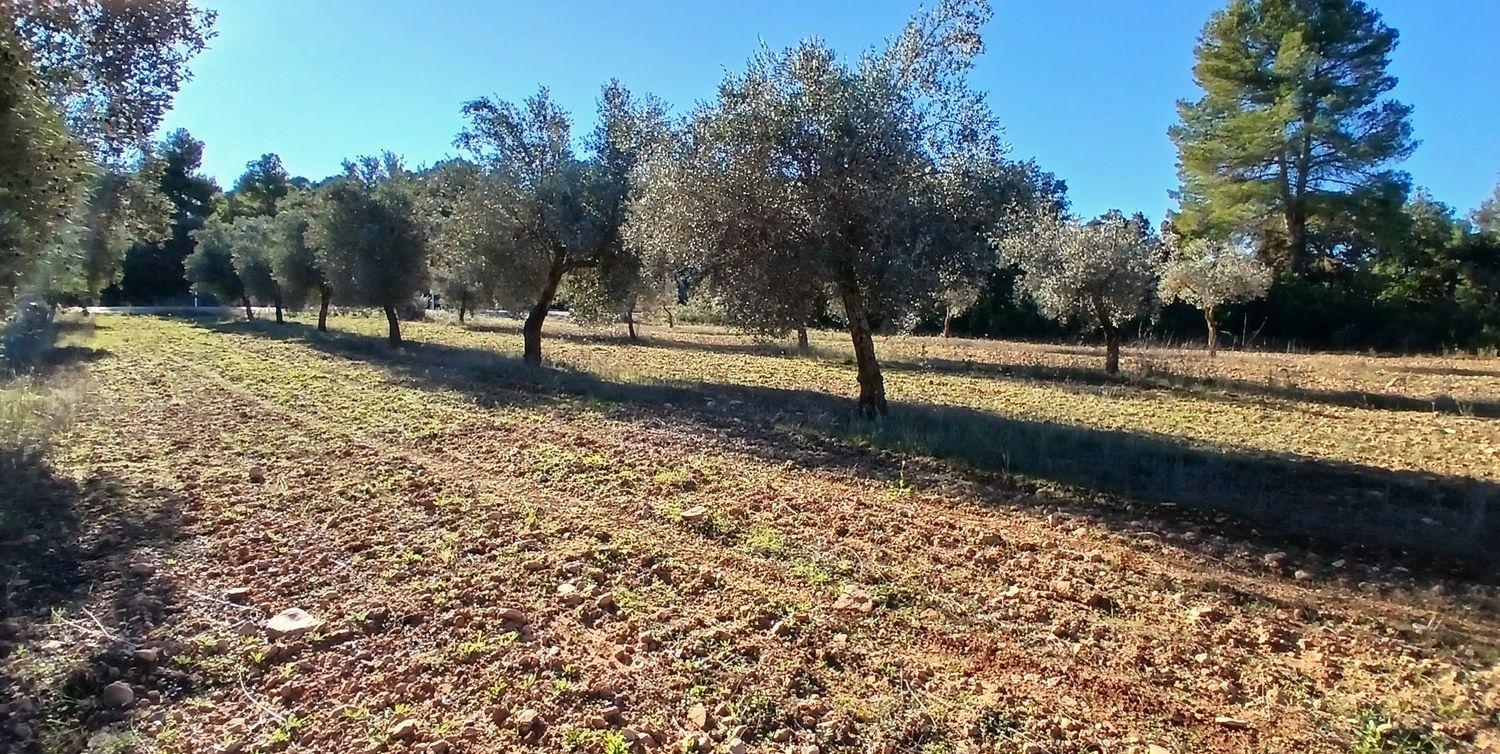 Building Site for Sale in Cretas