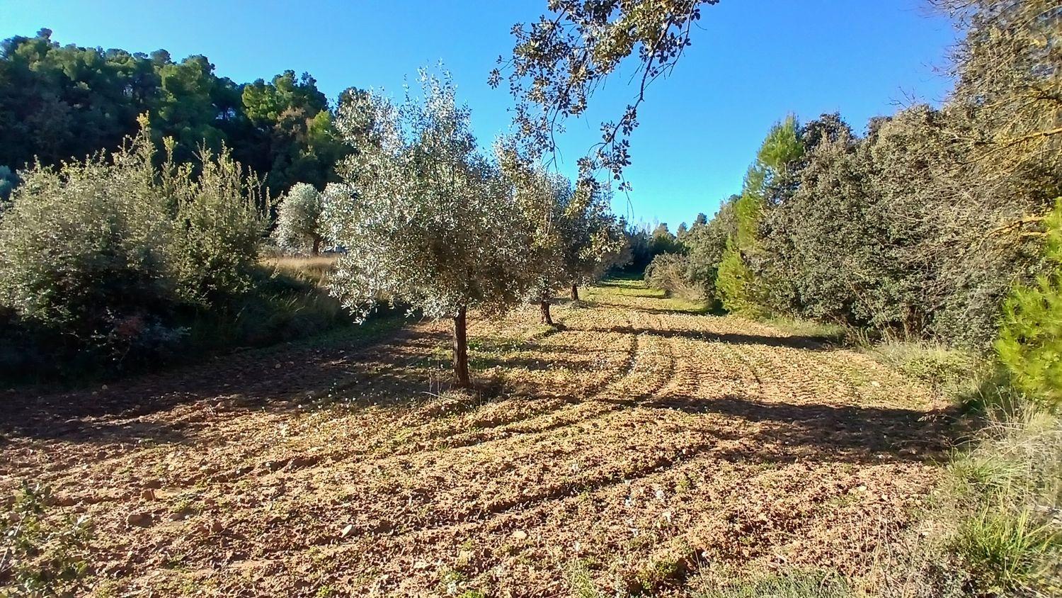 Solar en Venta en Cretas