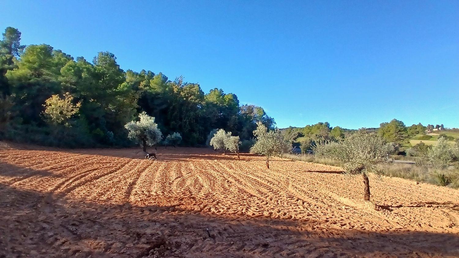 Building Site for Sale in Cretas