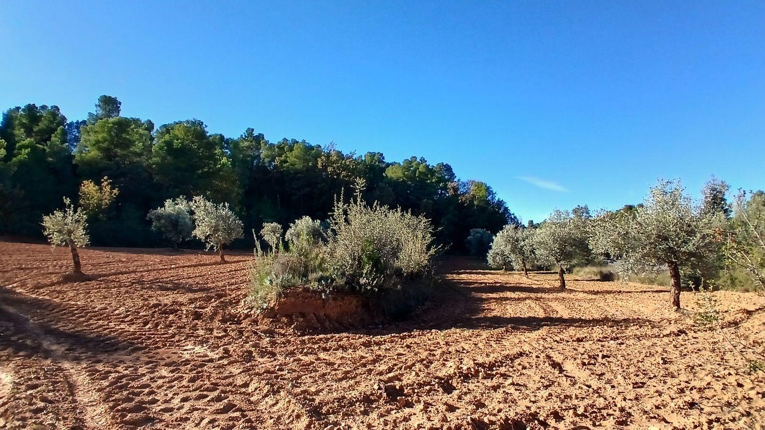 Solar en Venta en Cretas