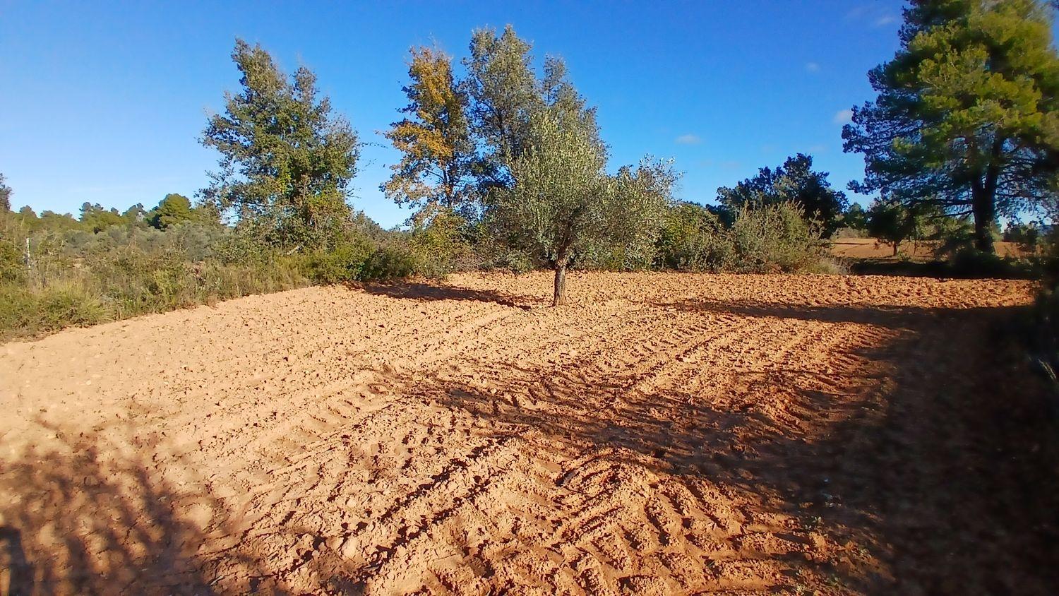 Building Site for Sale in Cretas