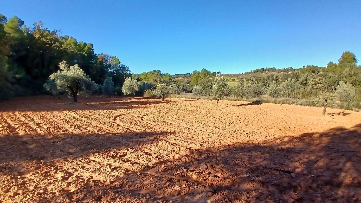 Building Site for Sale in Cretas