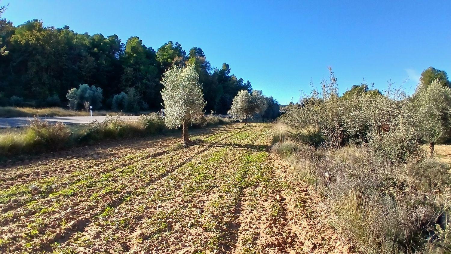 Building Site for Sale in Cretas