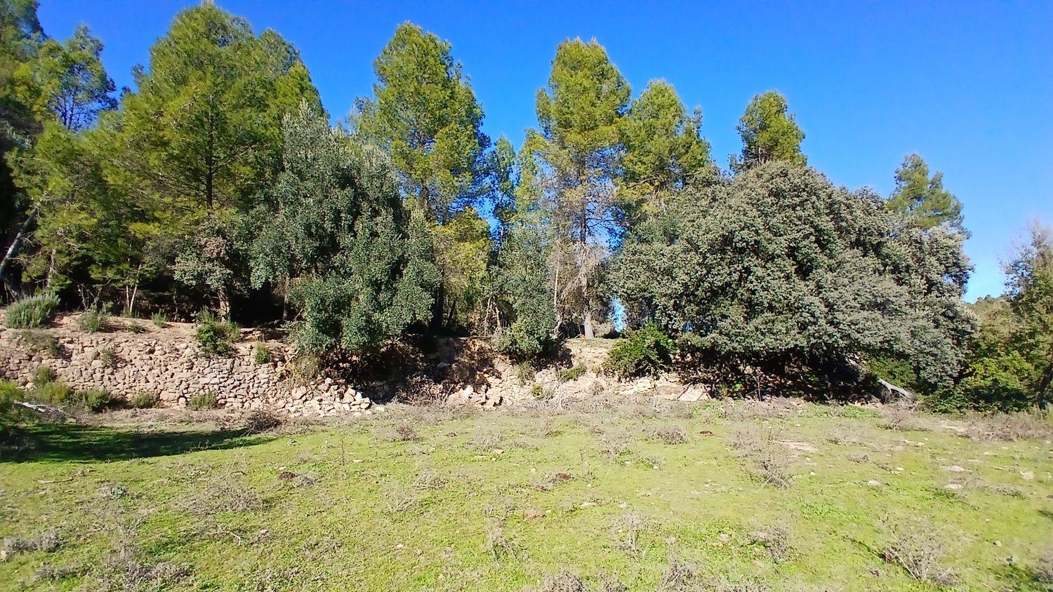 Solar en Venta en Cretas