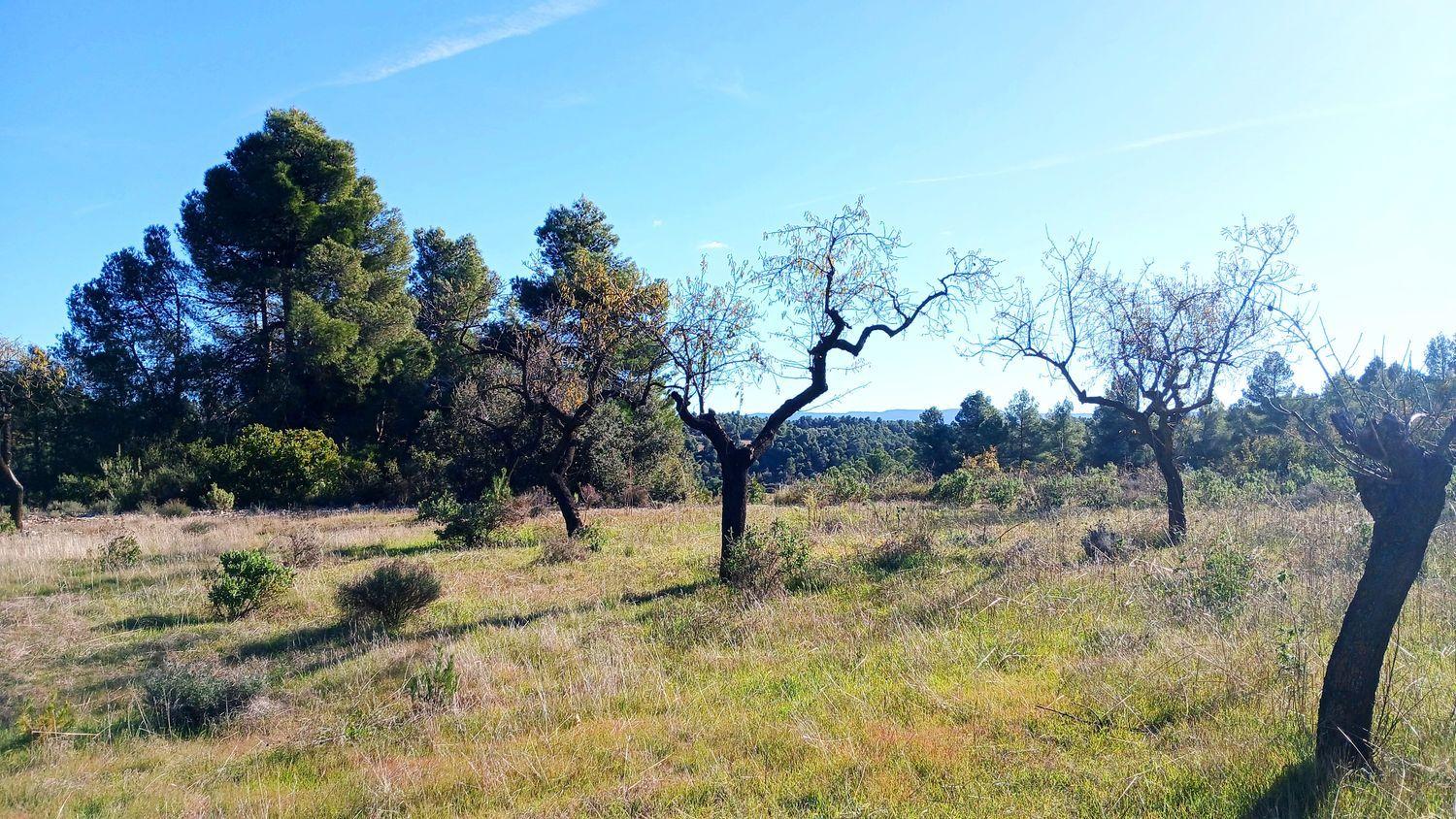 Solar en Venta en Cretas