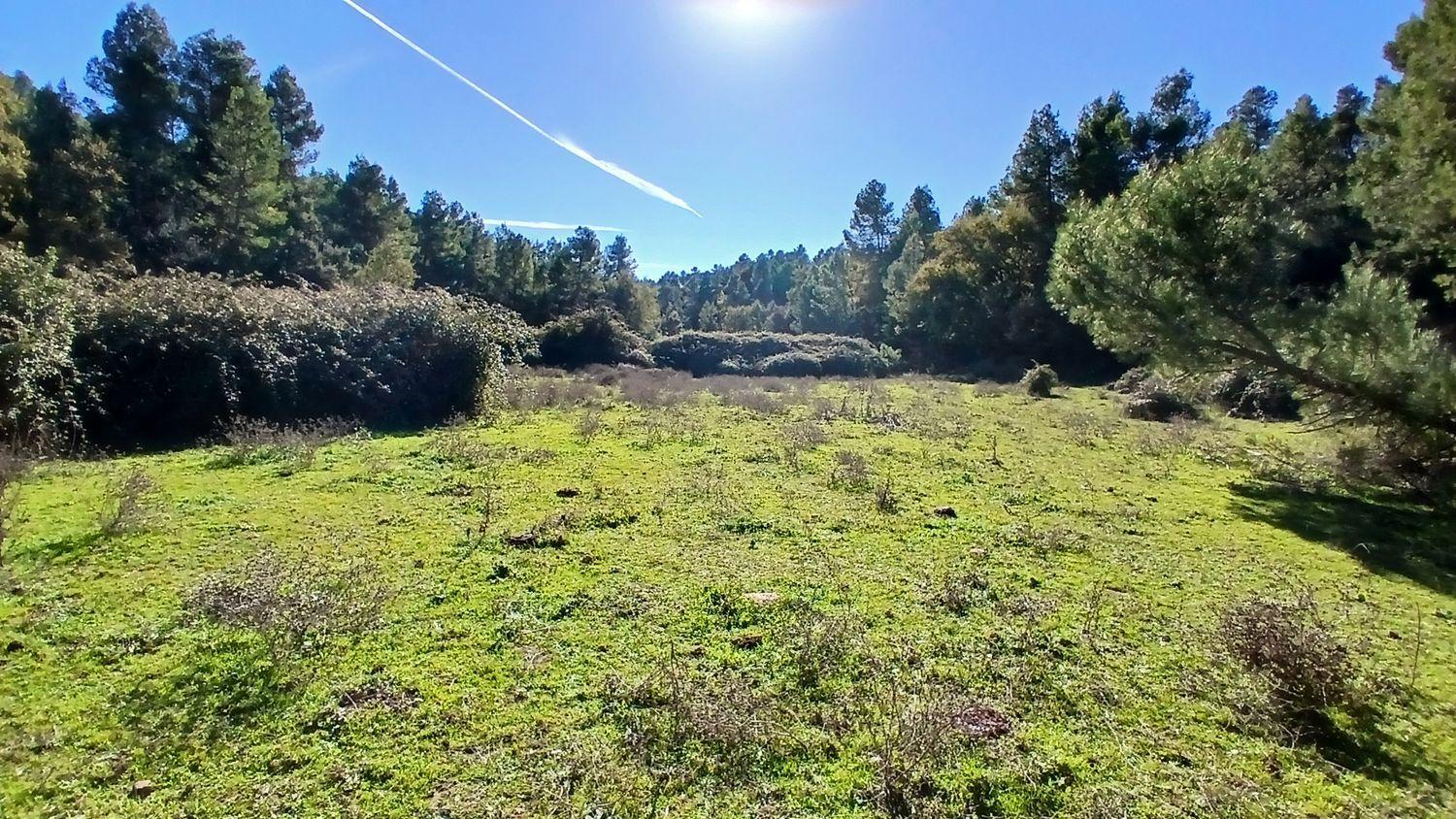 Solar en Venta en Cretas