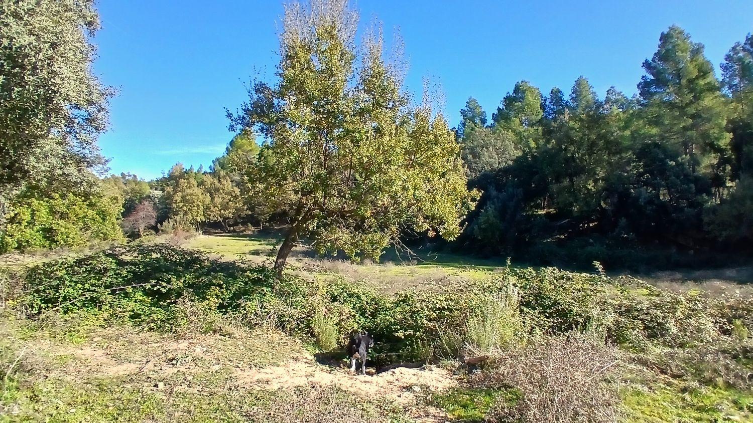 Solar en Venta en Cretas