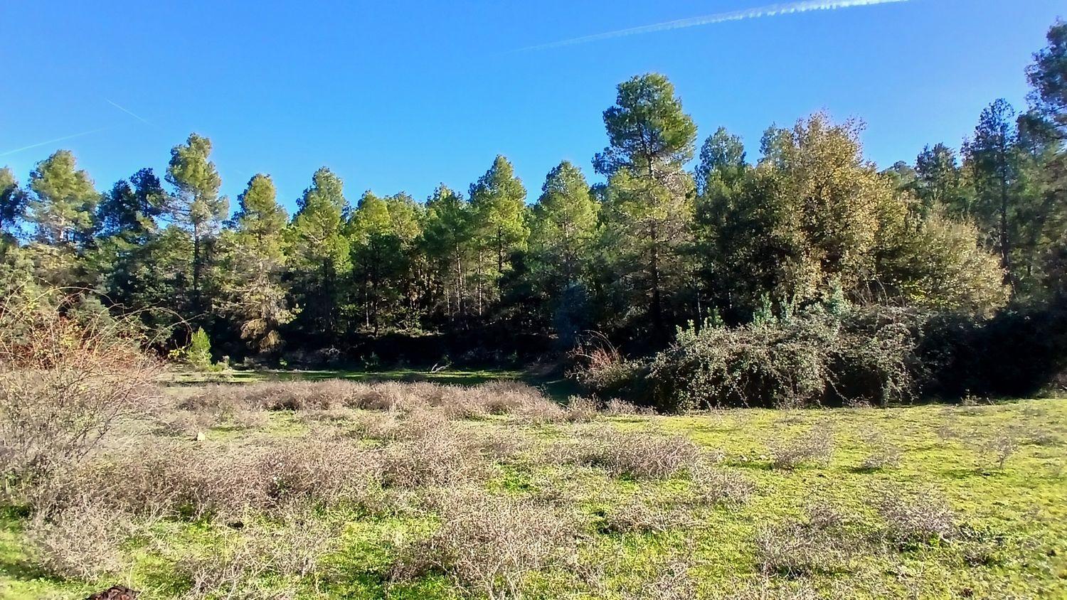 Solar en Venta en Cretas