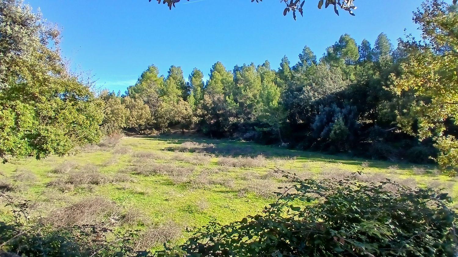 Solar en Venta en Cretas