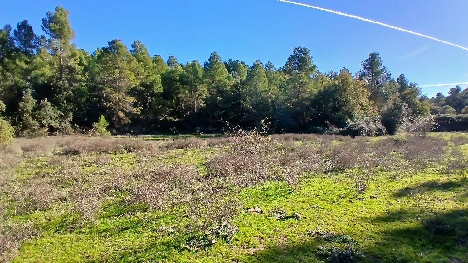 Solar en Venta en Cretas