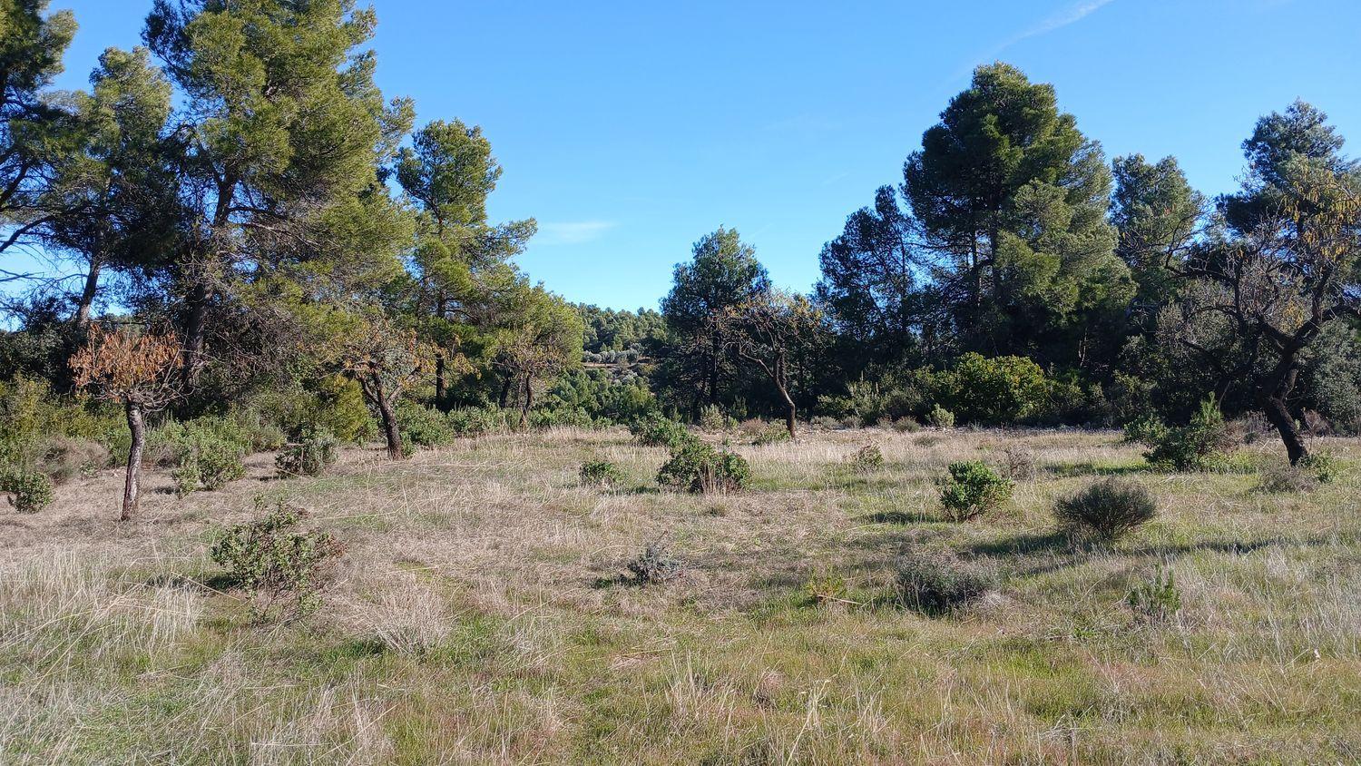 Solar en Venta en Cretas