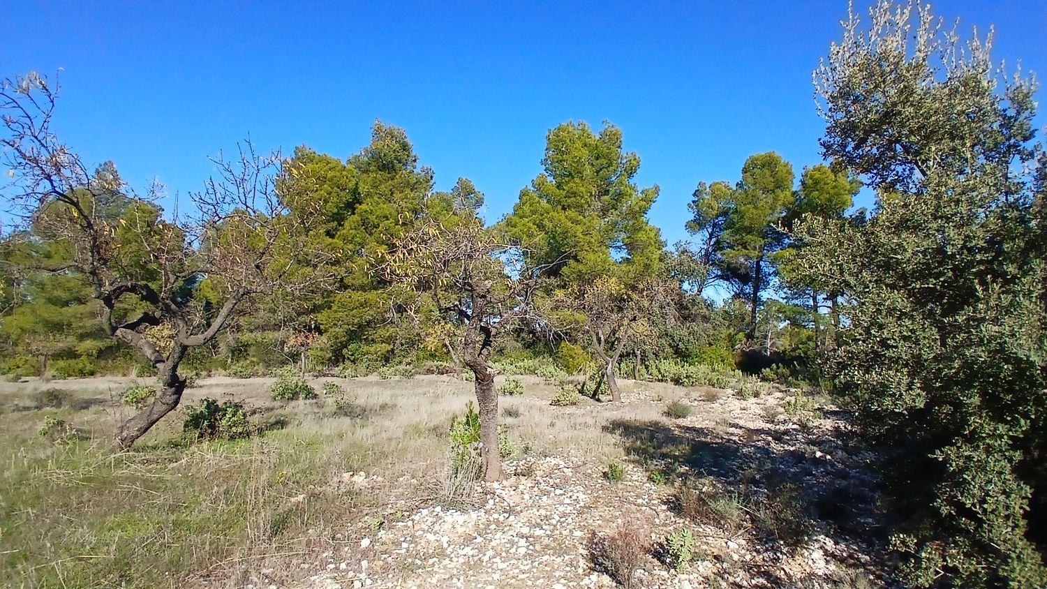 Solar en Venta en Cretas