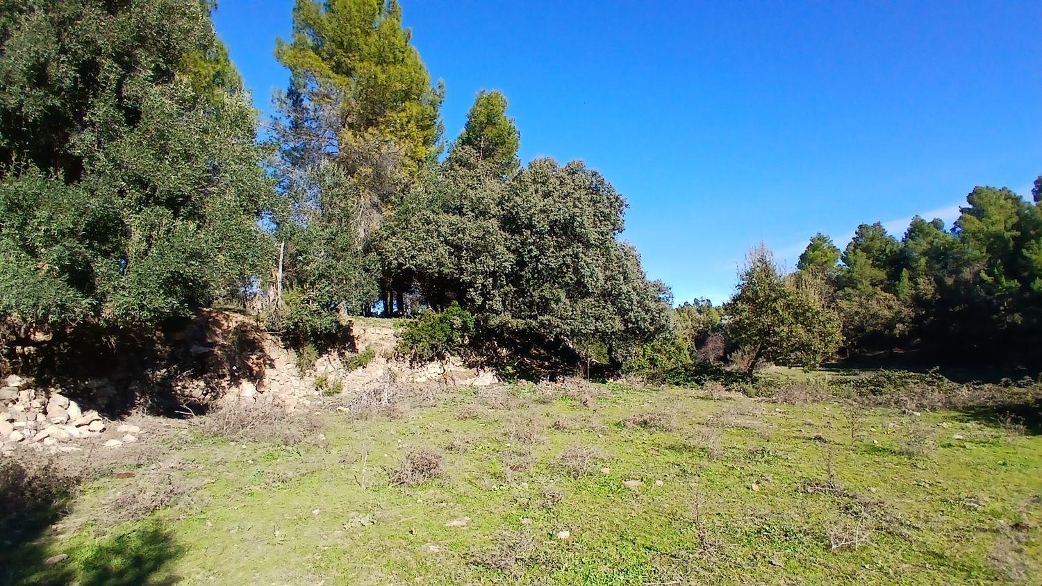 Solar en Venta en Cretas