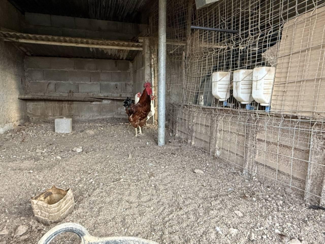 Casa en Venta en Almuñécar