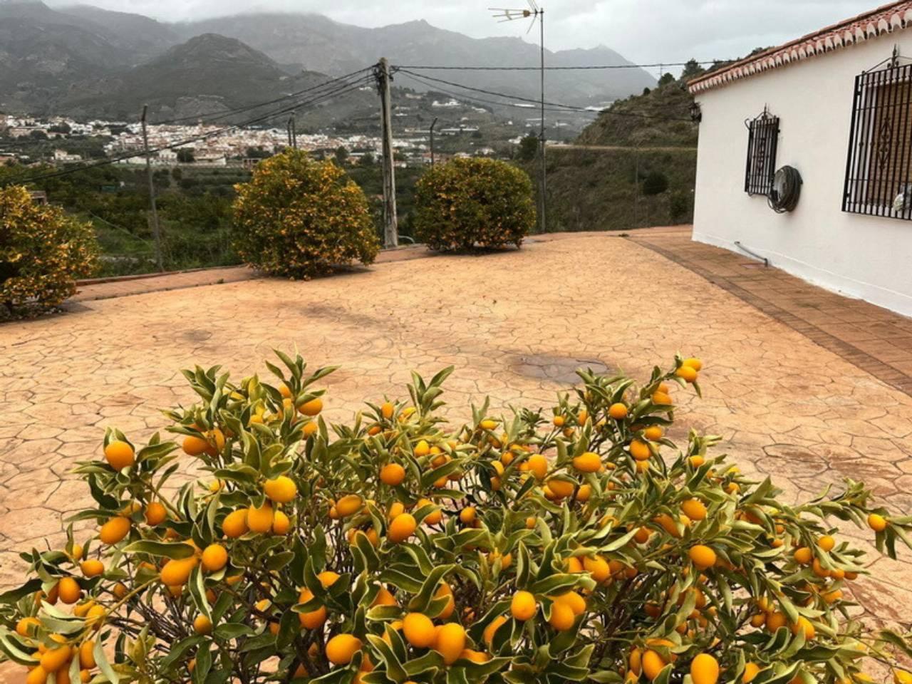 House for Rent in Molvízar