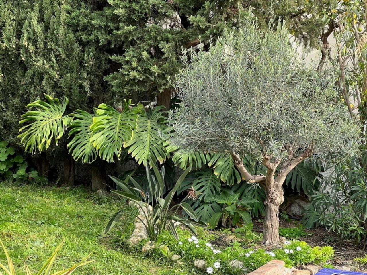 Chalet en Venta en Almuñécar