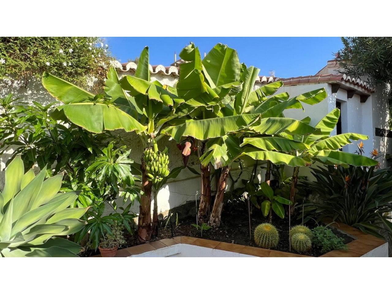 Chalet en Venta en Almuñécar
